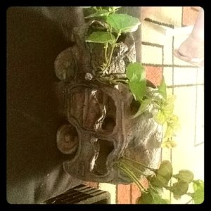 Fish tank setting